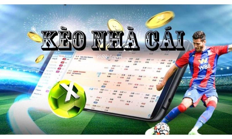 Tổng quan về nhà cái cá cược debet